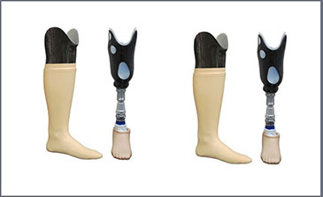 Below Knee Prosthesis Parts