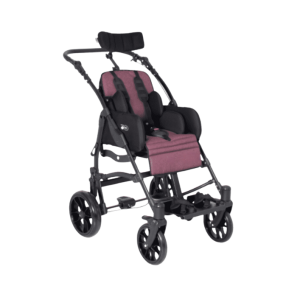 CP STROLLER- PURPLE