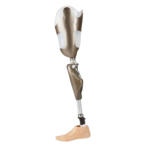 Transfemoral Prosthesis (Above Knee)