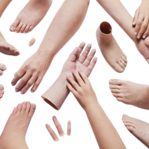 Silicone Hand, Feet And Finger Prosthesis
