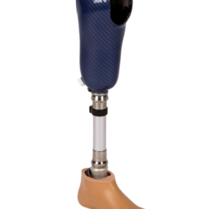 TRANSTIBIAL Prosthesis (Below Knee)